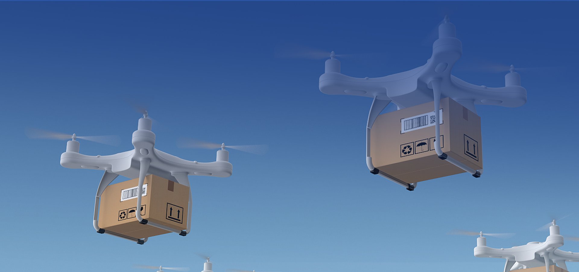 绍兴大鱼包装有限公司